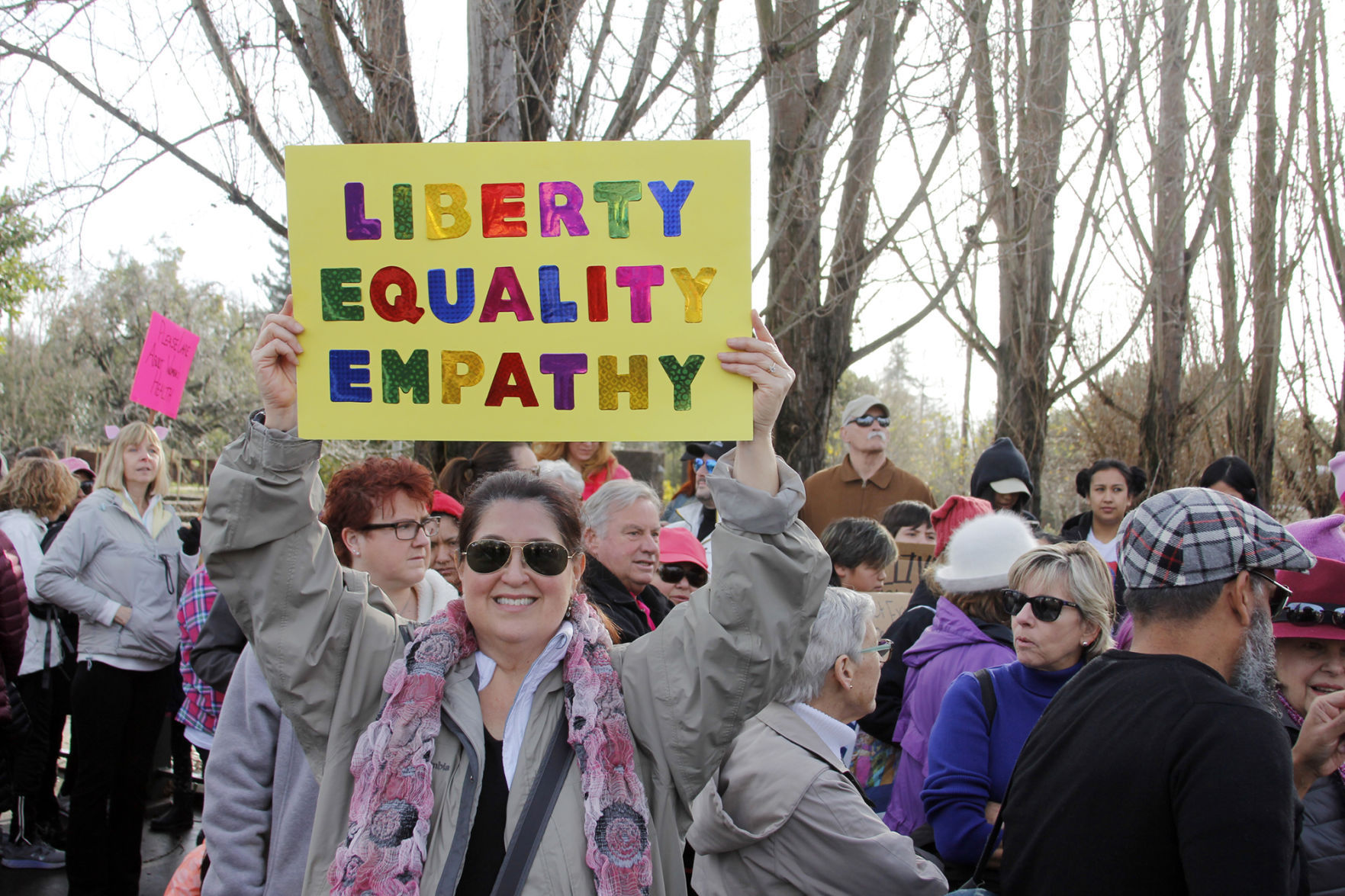 Signs seen at Women's March Napa Valley